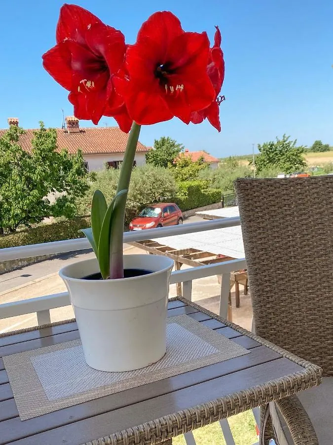 Apartments Roberta Новиград Хорватия