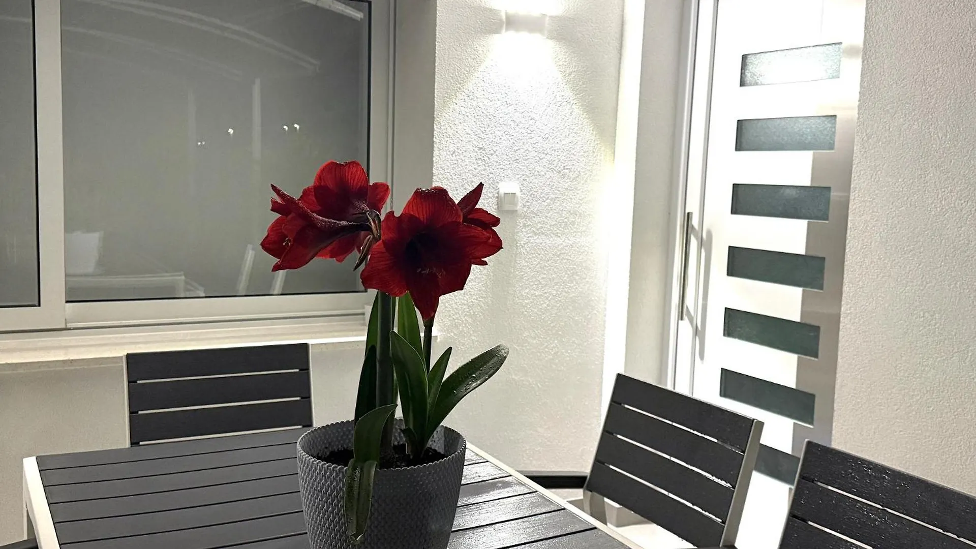 Apartments Roberta Novigrad  0*, Novigrad (Istria) Croatia