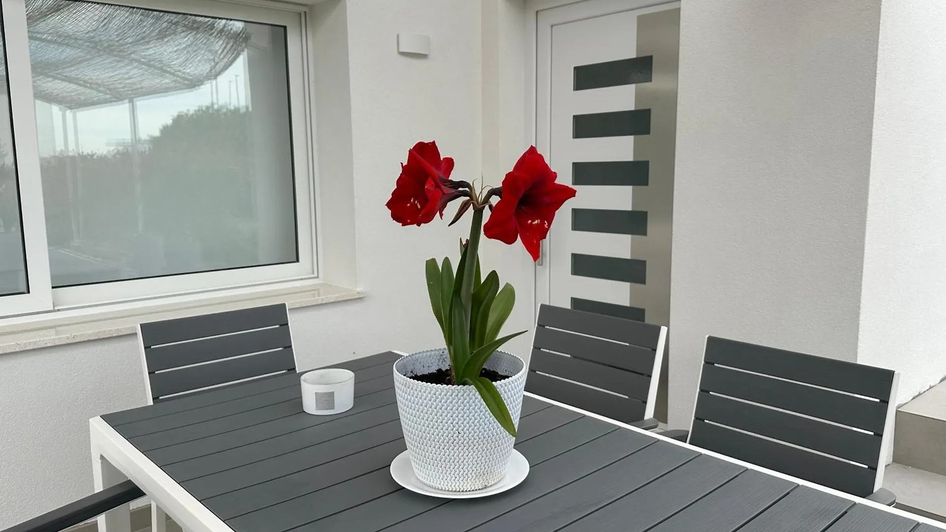 Apartments Roberta Novigrad
